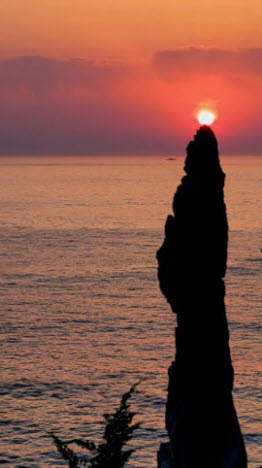 김범식 소설가, 새해 첫 태양에 담은 희망의 메시지