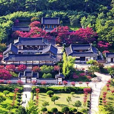 퇴계 이 황선생의 활인방에 대하여