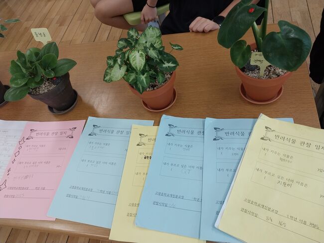 고령중 개진분교, \ 반려식물 성장 발표회\  열어