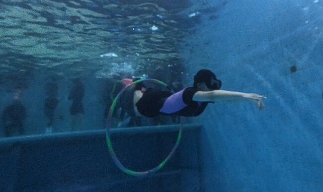 탑리여중, 해양레포츠 동아리 ‘프리다이빙 실습’ 진행