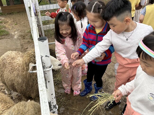 상산초병설유치원, ‘모동 목장 체험’으로 생명 존중 배우다