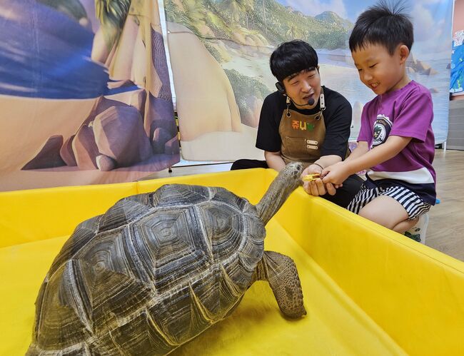 칠곡 지천초 병설유치원, 찾아오는 동물생태체험학습 운영